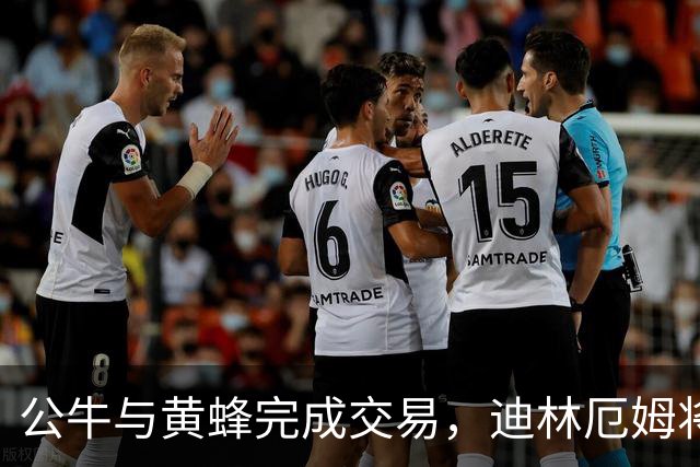公牛与黄蜂完成交易，迪林厄姆将迎来新机遇？